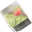 T026 trofeum szklane 6x6x6 mm - 2