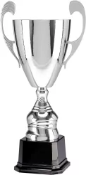 4105G Puchar metalowy srebrny h-30cm, d-10cm