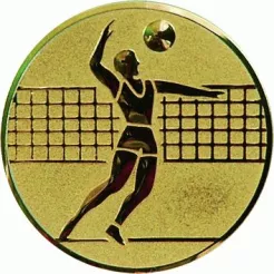 D1-A6/G emblemat złoty SIATKÓWKA d-25 mm