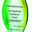 G010 trofeum szklane h-21 cm, grub. 1,9 cm - 2