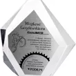 C036 Trofeum szklane h-19,5 cm, grub. 3 cm - 6