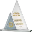 GS100-22 trofeum szklane h- 21,5 cm, grub. 1 cm - 2
