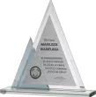 GS100-22 trofeum szklane h- 21,5 cm, grub. 1 cm - 6