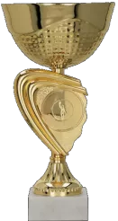 9265F Puchar metalowy złoty h-16cm, d-8cm embl. 50mm