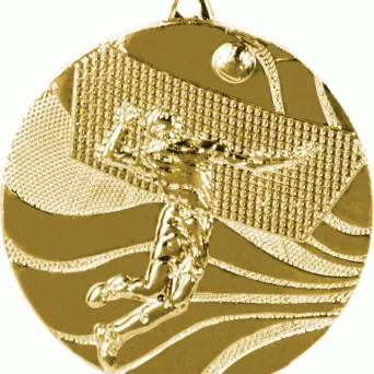 MMC2250/G medal złoty d-50 mm tematyczny SIATKÓWKA