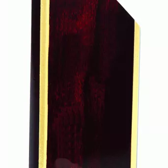 TROF1A trofeum drewniane 23 cm