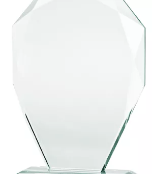 G007 trofeum szklane h-24 cm, grub. 1,9 cm