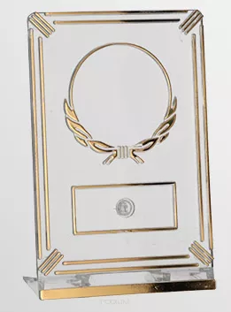 50163/T-G Trofeum plastikowe prostokątne h-14 cm