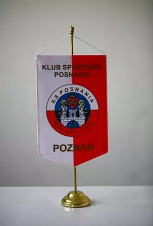 Proporczyk