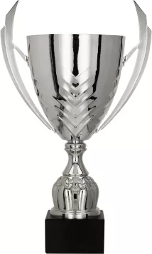 4225F Puchar metalowy srebrny h-30 cm,d-10 cm