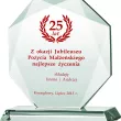 G020 trofeum szklane h-19,5 cm, grub. 1,9 cm - 3