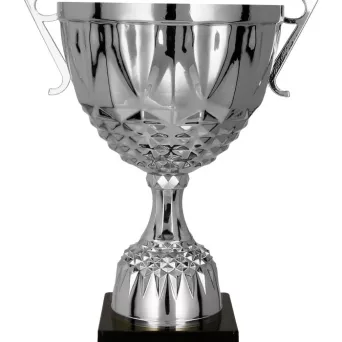 7221D Puchar metalowy srebrny h-24,5 cm, d-10cm