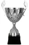 7221D Puchar metalowy srebrny h-24,5 cm, d-10cm