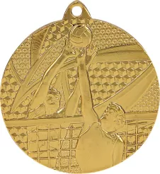 MMC7650/G medal złoty- siatkówka R- 50 mm, T- 2 mm