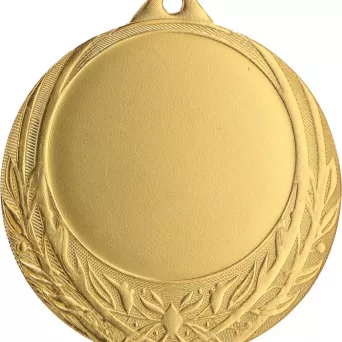 ME0170/G Medal złoty ogólny z miejscem na emblemat 50 mm - medal stalowy d-70mm, grub. 2 mm