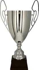 1064B-N Puchar metalowy srebrny h-56cm, d-20cm